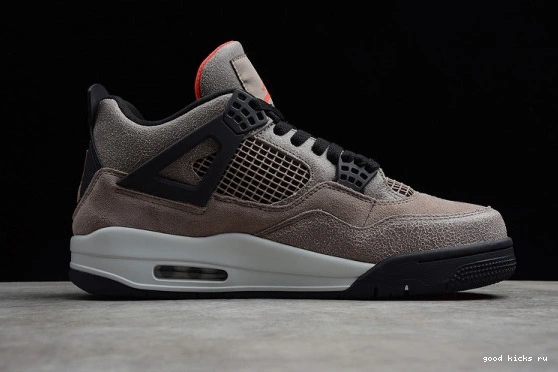 Jordan Retro Air DB0732-200 4 Taupe DB0732-200 Haze 0213